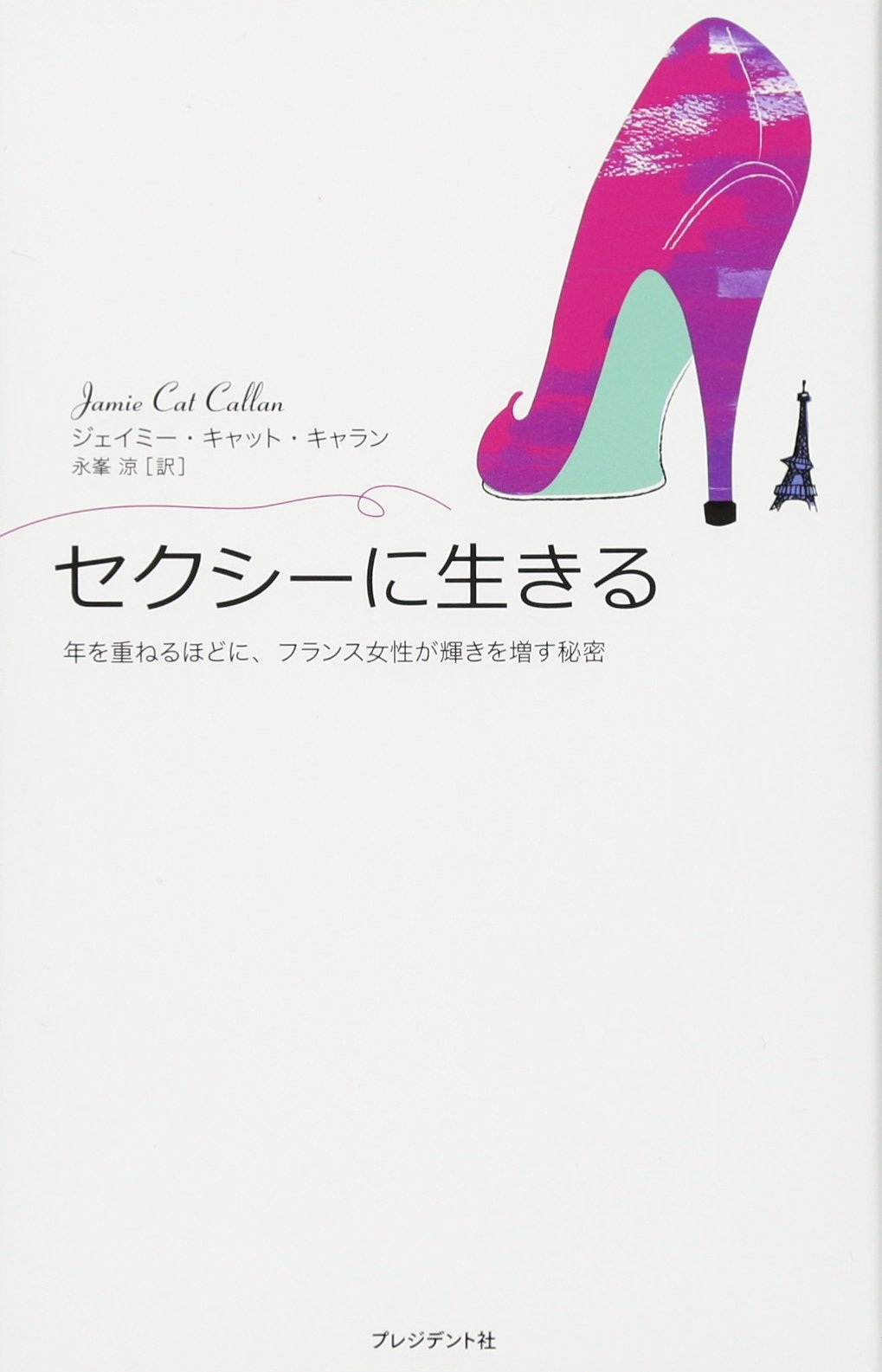 Les dessous chics 下着専門書 写真集 フランス語 アート