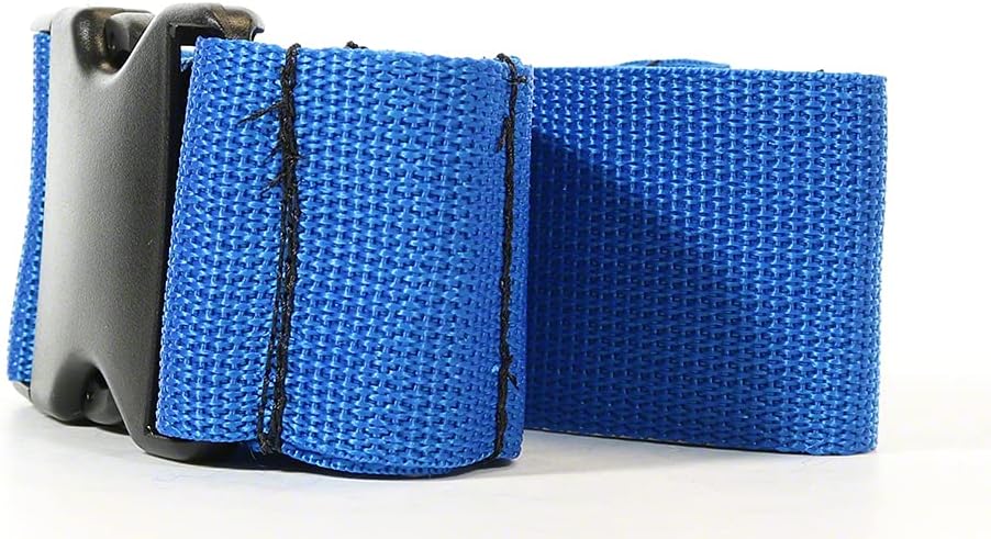 Seat Belt and Buckle