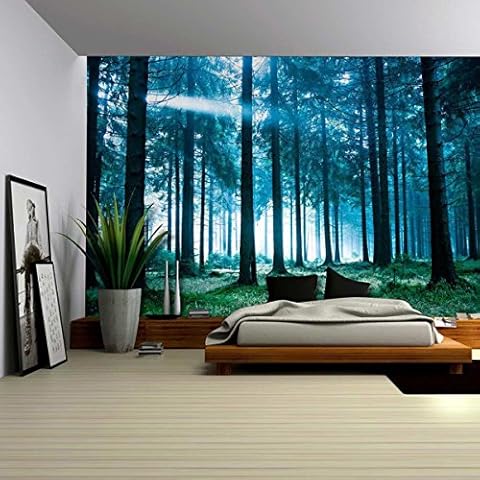 Koongso Nature and the Forest's Ultimate Landscape Enjoy this Visual Feast Home Decoration Tapestry for Dorm Bedroom 51" W x 60" L Cover