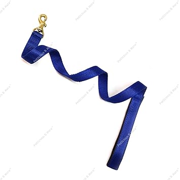 Petlicious & More Tough Nylon Padded Handle with Brass Lock 3 Ft Dog Short Leash - Blue
