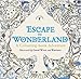 Produktbild Escape to Wonderland: A Colouring Book Adventure