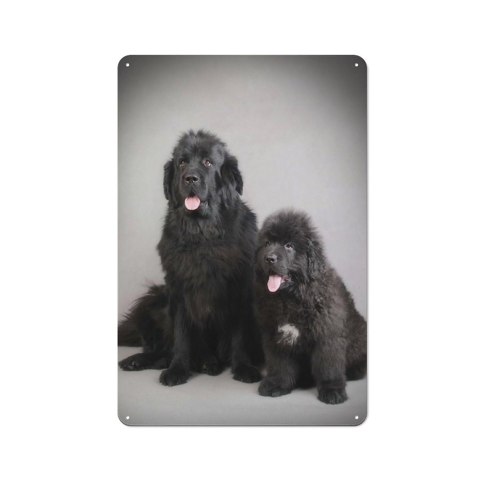 Junmoney Style-24 Newfoundland Dogs Retro Tin Wall Plaque 30X20cm For Guest Room Or Hallway, For Vintage Wall Decor Fans, For Themed Room Decoration