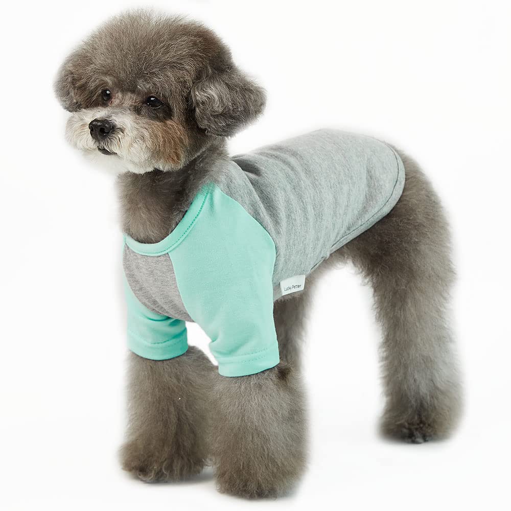 Lucky Petter Dog Shirt for Small and Large Dogs Raglan Cotton T-Shirts Soft Breathable Dog Shirts pet Clothes Gray Series (Medium, Gray/Mint)