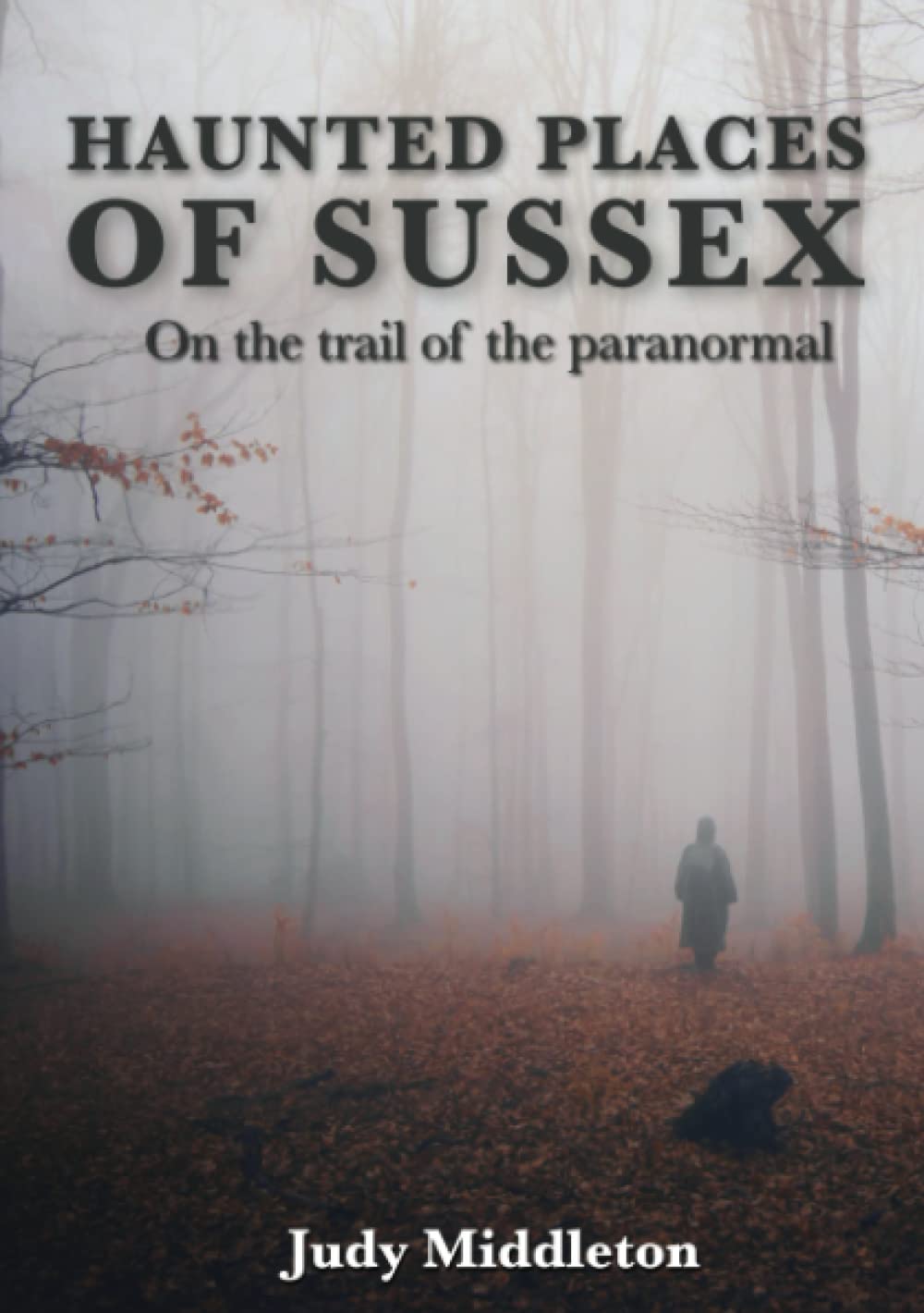 Haunted Places of Sussex - On the trail of the paranormal (Haunted Britain)