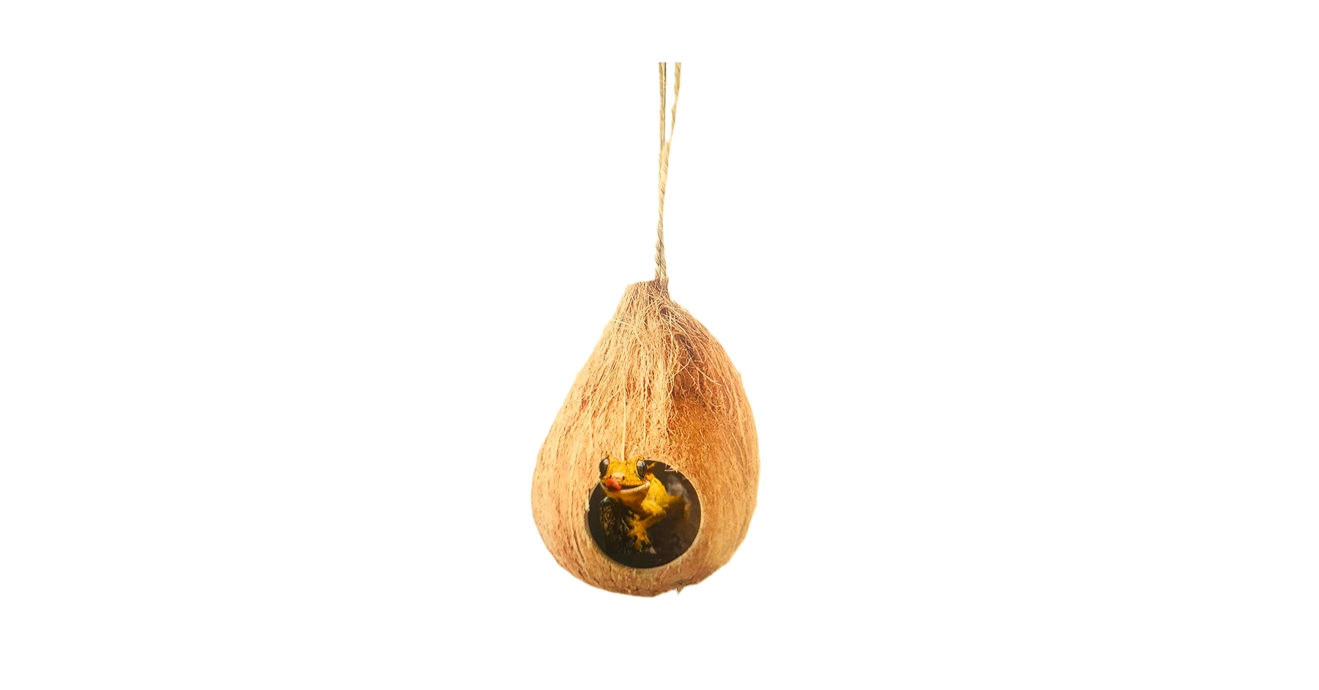 Coconut Bird Nest With Ladder - Natural And Eco-Friendly Bird Cage