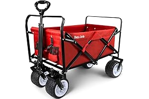 BEAU JARDIN Sand Buggy for Beach