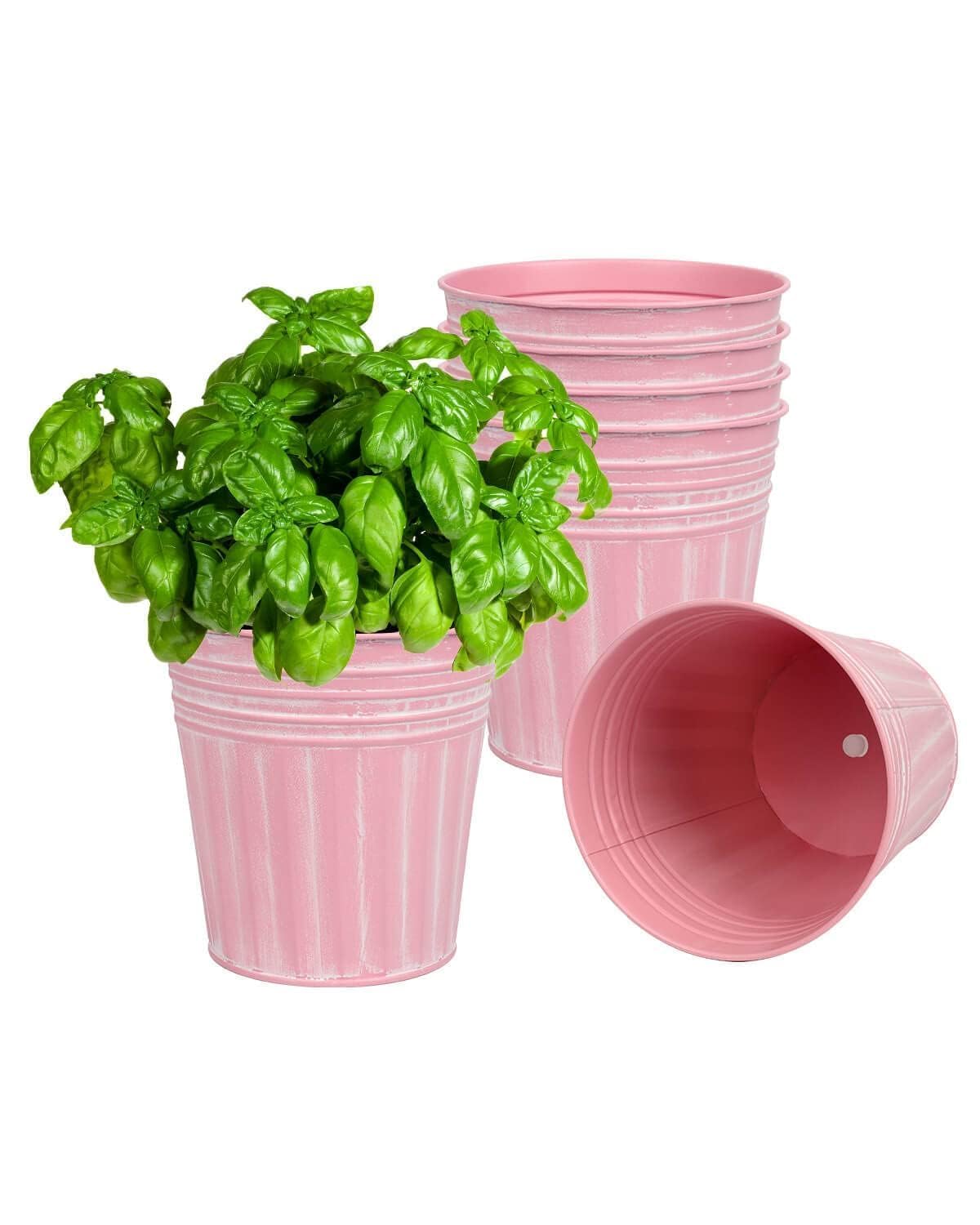 vensovo 6 Inch Pink Metal Rustic Flower Pots