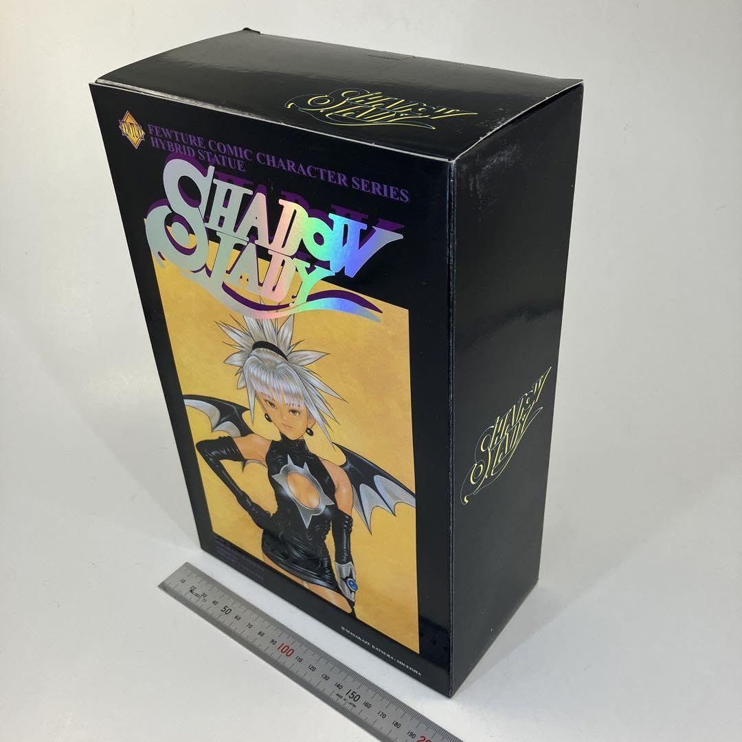 Amazon.co.jp: シャドウレディ フューチャーモデルズ コミック