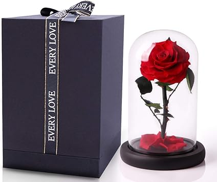 Amazon Jttvo ガラスドームベル 美女と野獣 バラ 永遠に魅了されたバラ 長持ちする花 妻の誕生日に レッドローズ 造花 オンライン通販