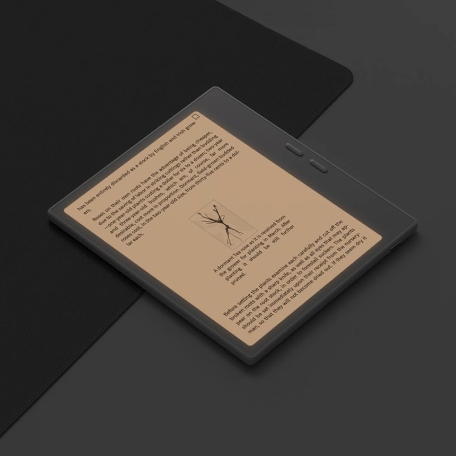 BOOX Go Color 7 (Gen 2) displaying a page of text from a book