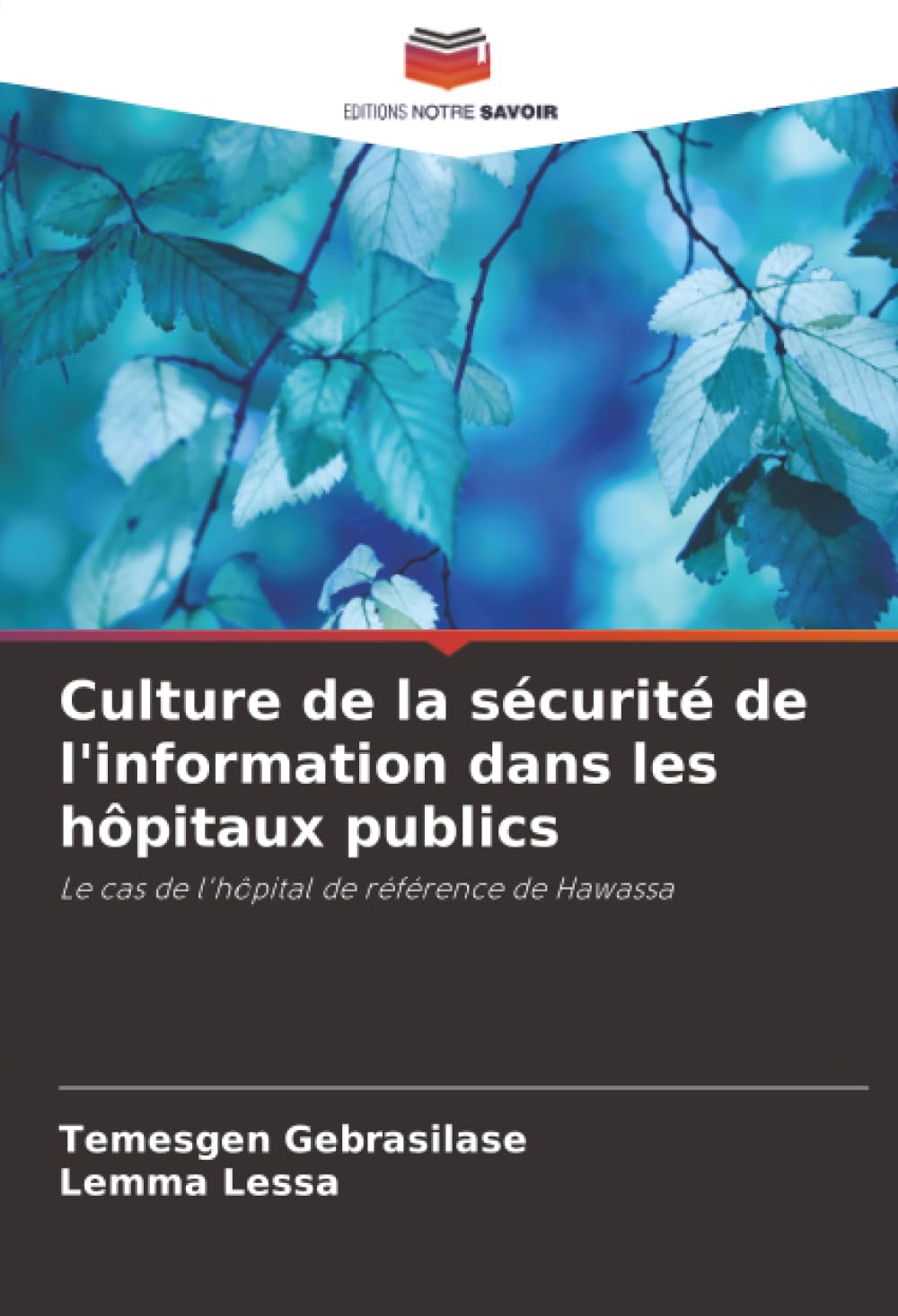 Culture de la sécurité de l'information dans les hôpitaux publics