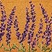 Juvale Lavender Floral Door Mat - 17 x 30 in, Purple Coir - Welcome Mat for Front Door & Outdoor Entryway - Coir Doormat for Patio & Porch