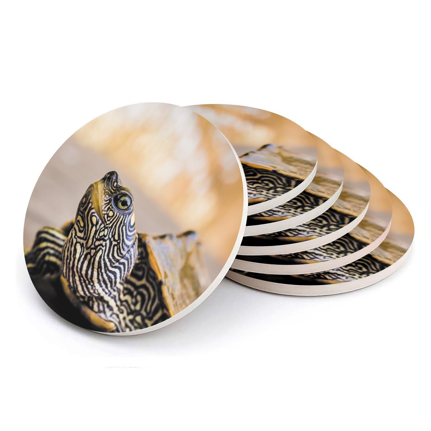Sous-verre ronds en céramique motif tortue | Cadeau idéal lot de 6 dessous de verre