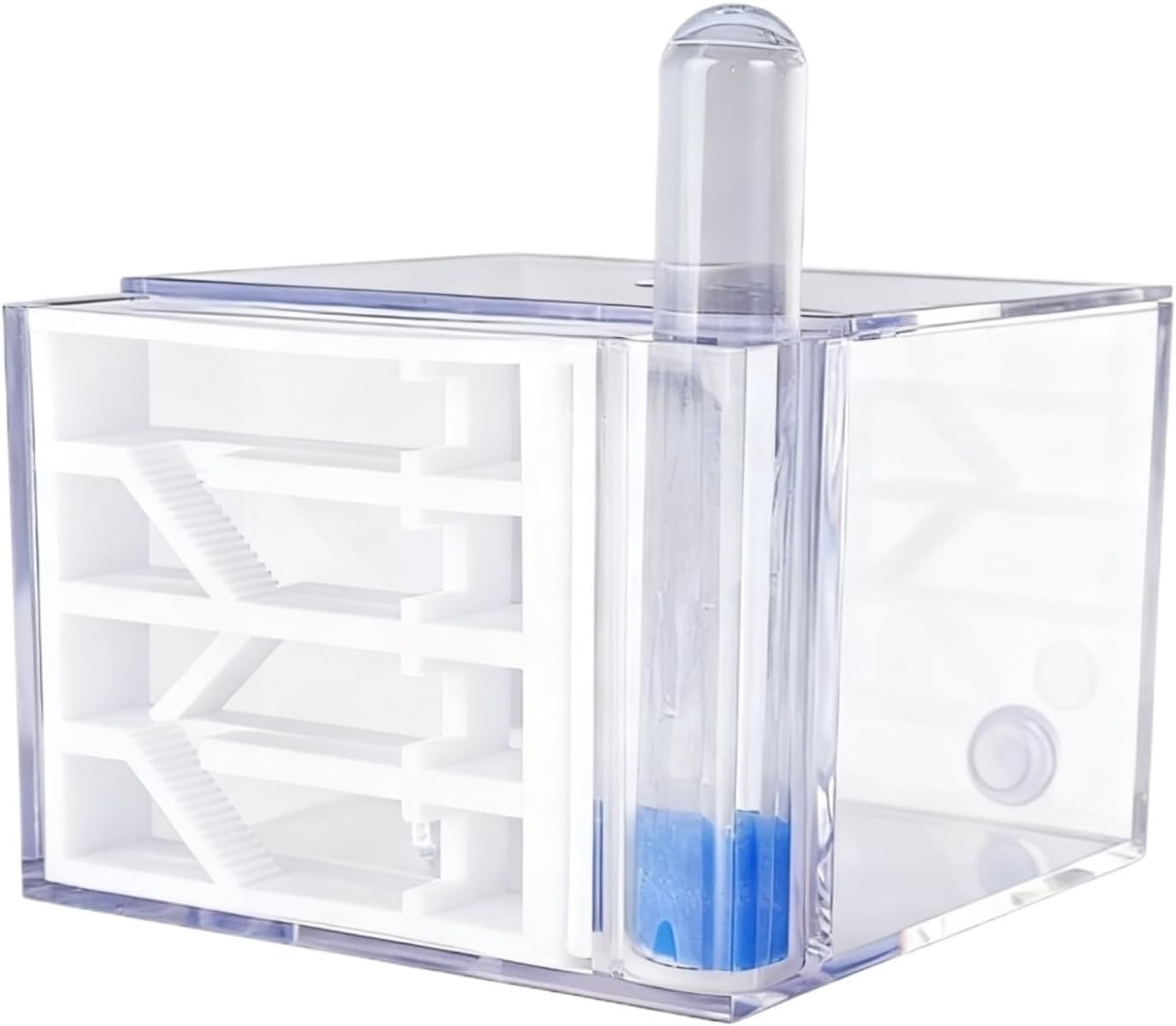 Ant Farm Acrylic Ant Farm 360° Panoramic View Nest Habitat Castle Habitat