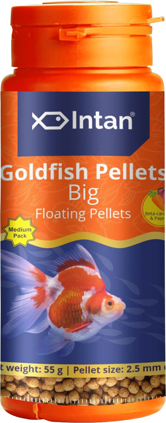 See full amazon price history chart for Aquatic Intan Goldfish Pellets for Fish | Medium Pack Aquarium Fish Food | Daily Nutrition Fish Feed | Big Floating Pellet 55 Gm, 2.5 mm Dia Aquatic Intan Goldfish Pellets for Fish | Medium Pack Aquarium Fish Food | Daily Nutrition Fish Feed | Big Floating Pellet 55 Gm, 2.5 mm Dia (B0CS9SKBN3) Amazon Price History, Amazon Price Tracker