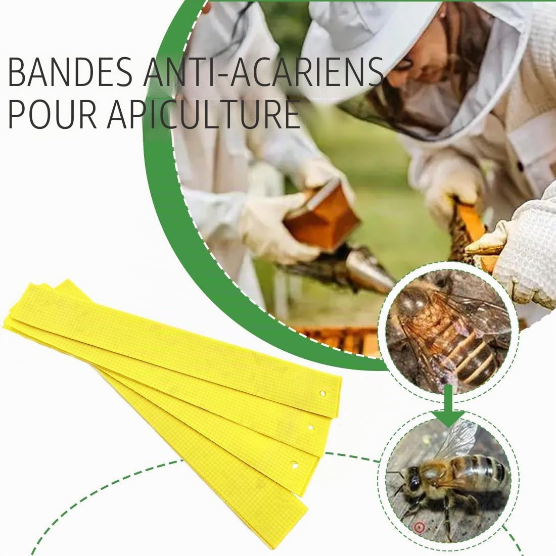 Accessoires d'apiculture,Paquet de 20 bandelettes anti-acariens, un traitement écologique pour ruches, qui contrôle efficacement les acariens.
