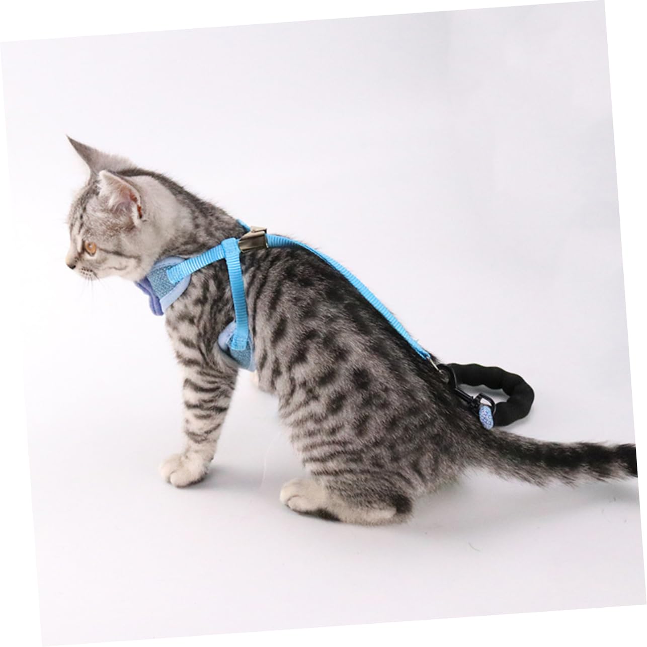 Sosoport Pettorina Per Gatti Pettorina Per Animali Domestici Pettorina Per Gatti 3 Pezzi