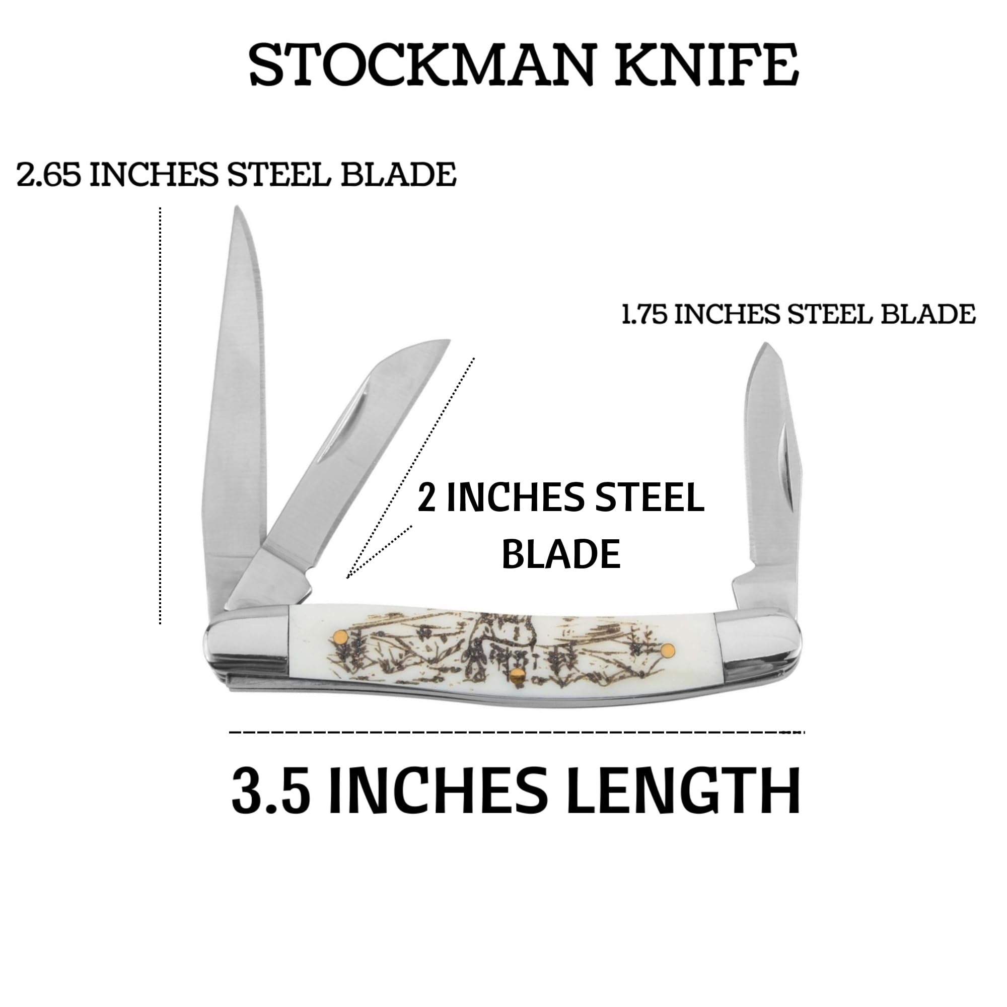 Old Ram 2PC Traditional Classic Style Folding-Knife Holiday Gift-Set Hunting-Camping- Whittling-EDC and Outdoors (White Bone)