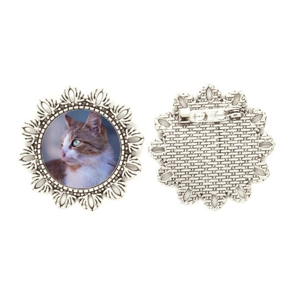 Broche de gancho evita roturas en ropa diseño gato marrón medium imperdible seguro 4