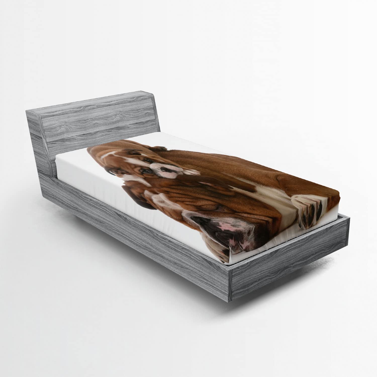 Ambesonne English Bulldog 2 Pack Fitted Sheet, Father and Son, Bed Cover All-Round Elastic Deep Pockets 2 Pieces, Package Contains 2 Twin Size Fitted Sheets, Brown and White