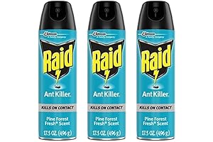 Ant Killer Spray Pine Forest 17.5 Ounce (Pack of 3)