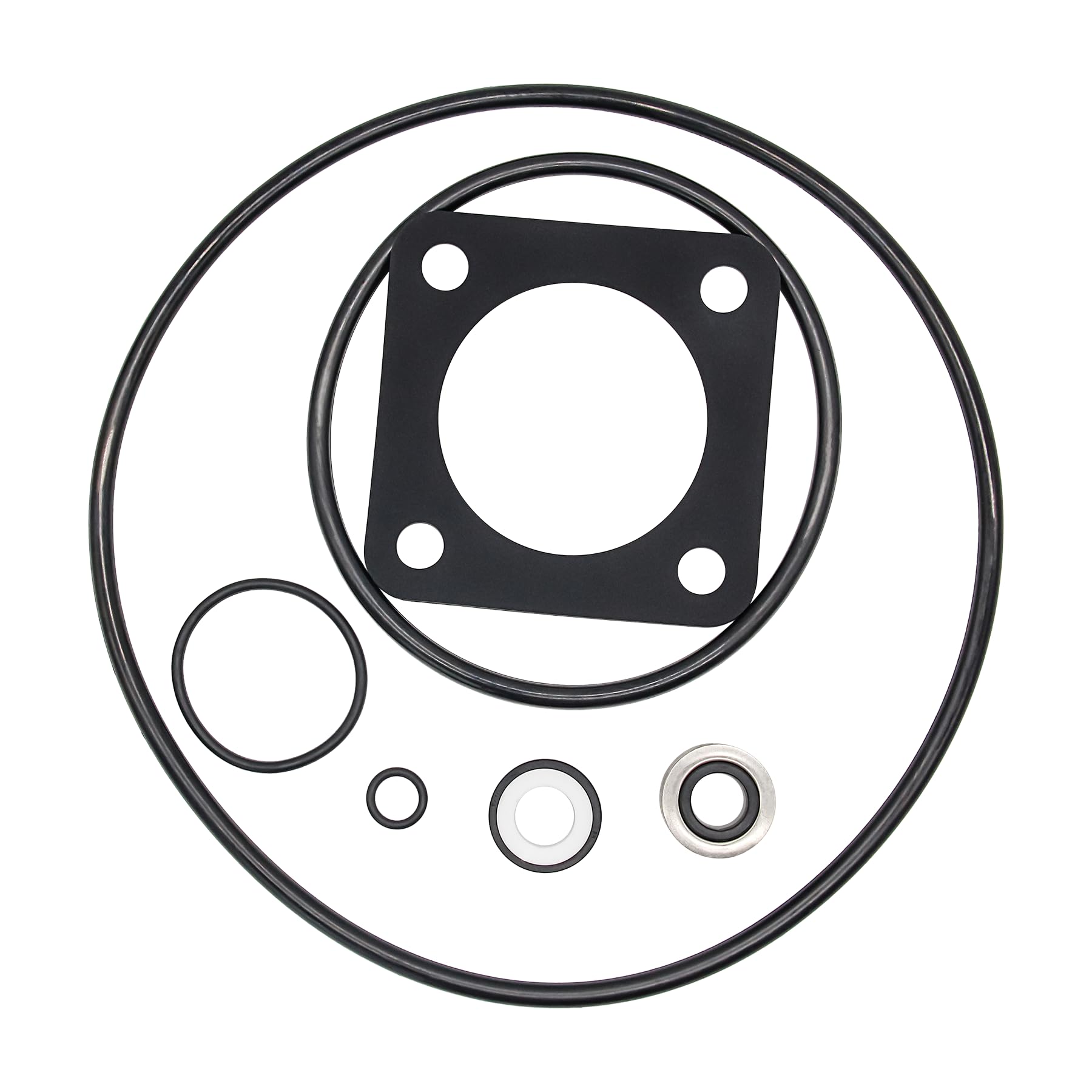 DenkuhinO-Ring Repair Rebuild Kit for Sta-Rite P2RA & P2R Dura-Glas MaxeGlas Pump Kit 54