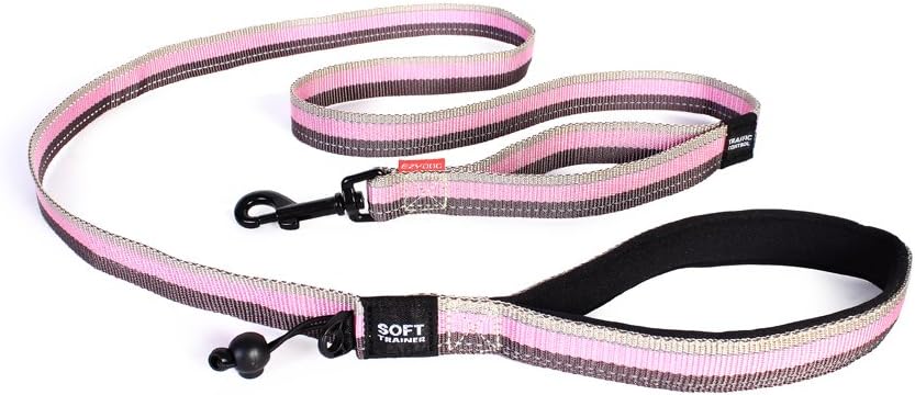 EzyDog Soft Trainer Dog Leash with Traffic Control Handle - Reflective Stitching for Nighttime Safety and Superior Strength and Comfortability for Training Large to Medium Dogs (72”, Candy)