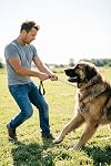 Heavy Duty Metal Dog Leash for Large Medium Dogs, Chew Proof 3.0mm Chrome-Plated Chain Leash with Padded Handle, 360° Swivel Clip 6FT Strong Dog Chain for Training Walking