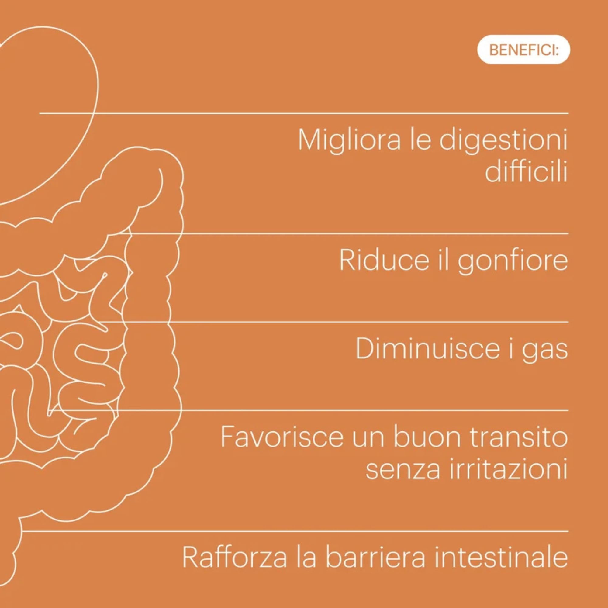 Enzimi Digestivi DigeZyme Butirrato GutGard 60 Capsule be levels