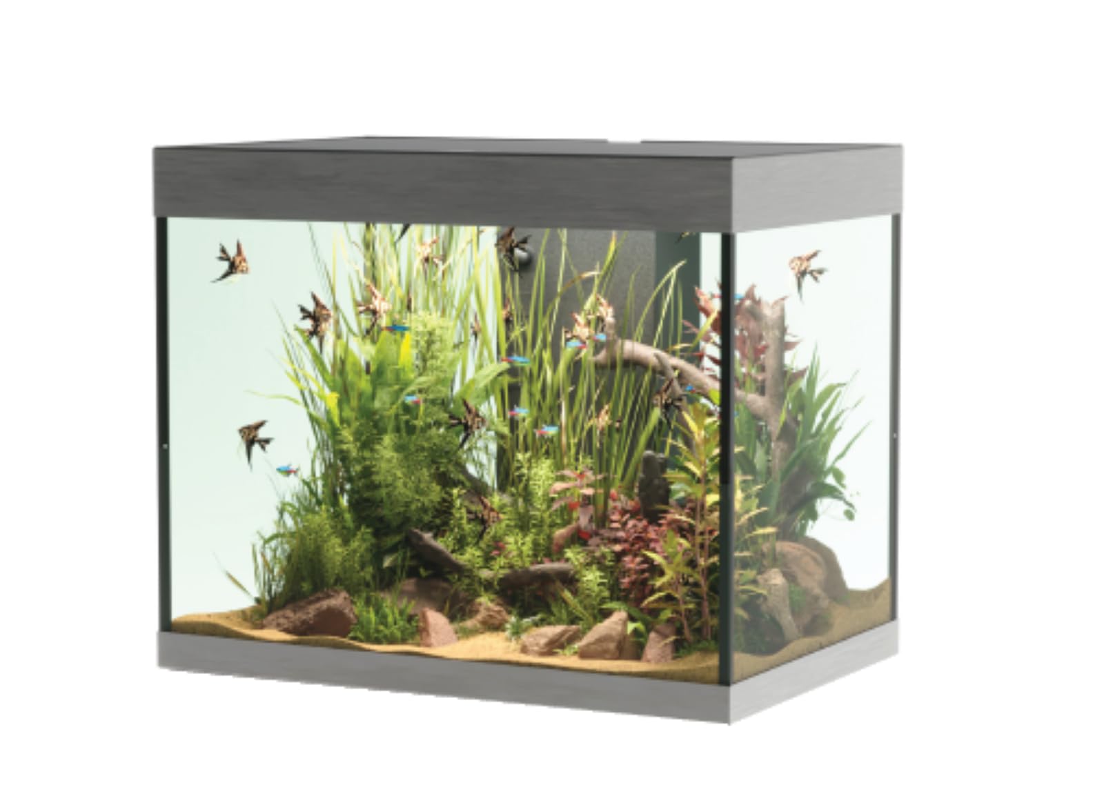 OPERA AQUARIUM 110 STEEL
