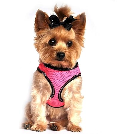 pomeranian collar size