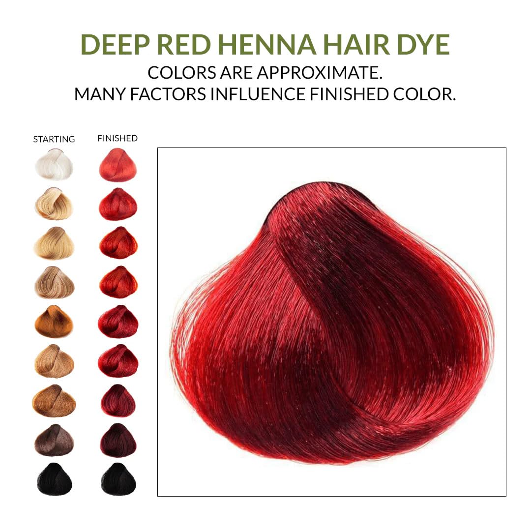 Amazon.com : 2 Packs Of Deep Red Henna Hair & Beard Color/Dye 100