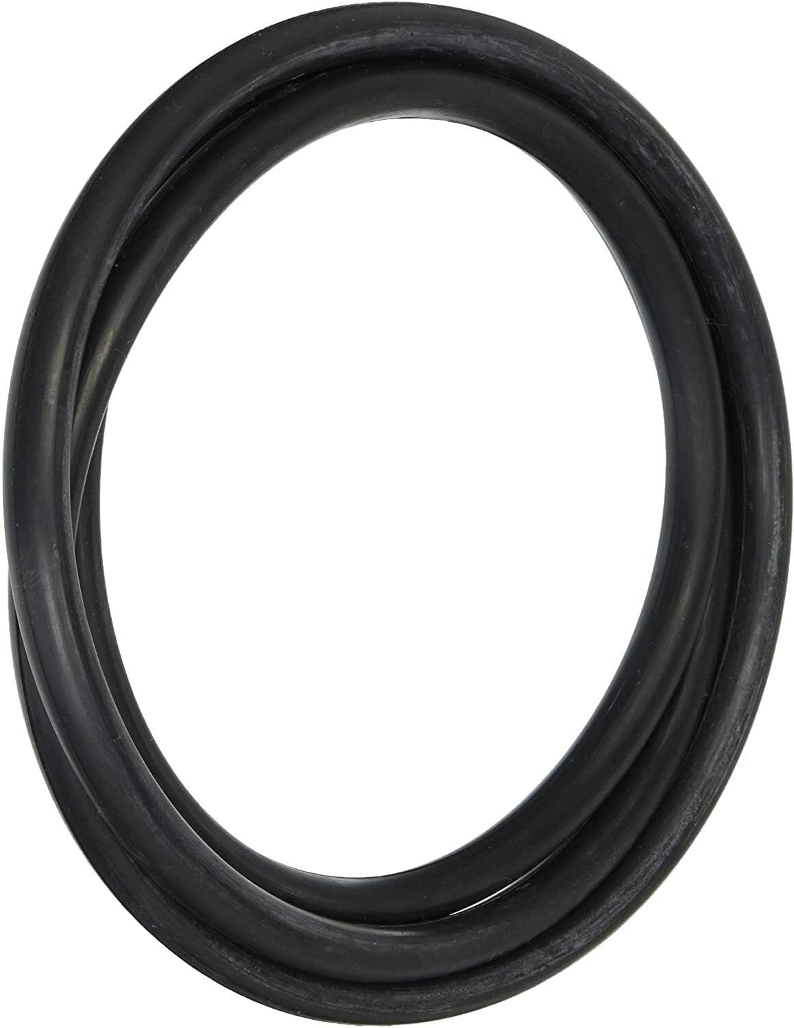 Genuine Hayward MicroClear Filter Bulkhead O-Ring S200 S240 SP1498 - Foto 3