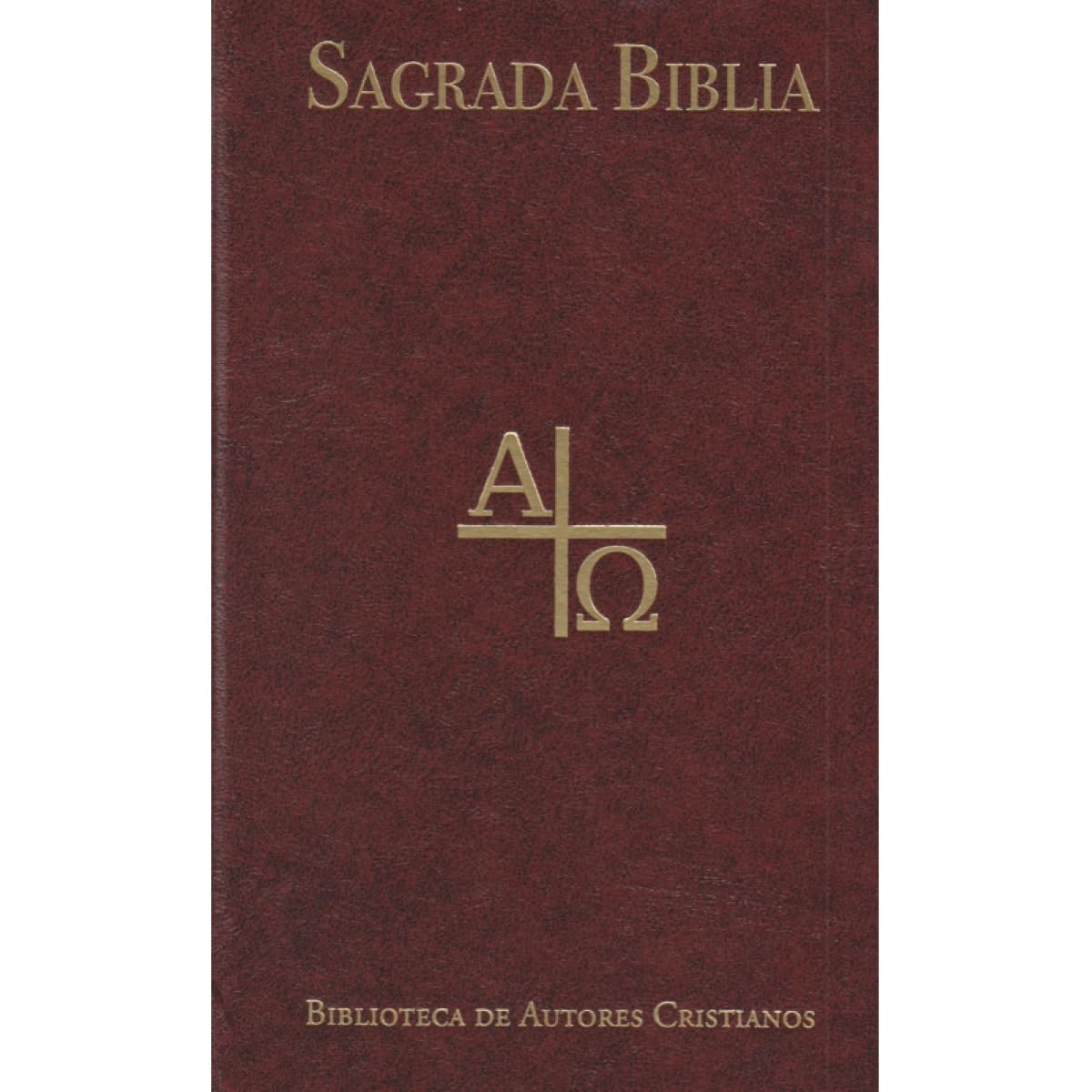 Sagrada Biblia (popular): 10 (EDICIONES BÍBLICAS)