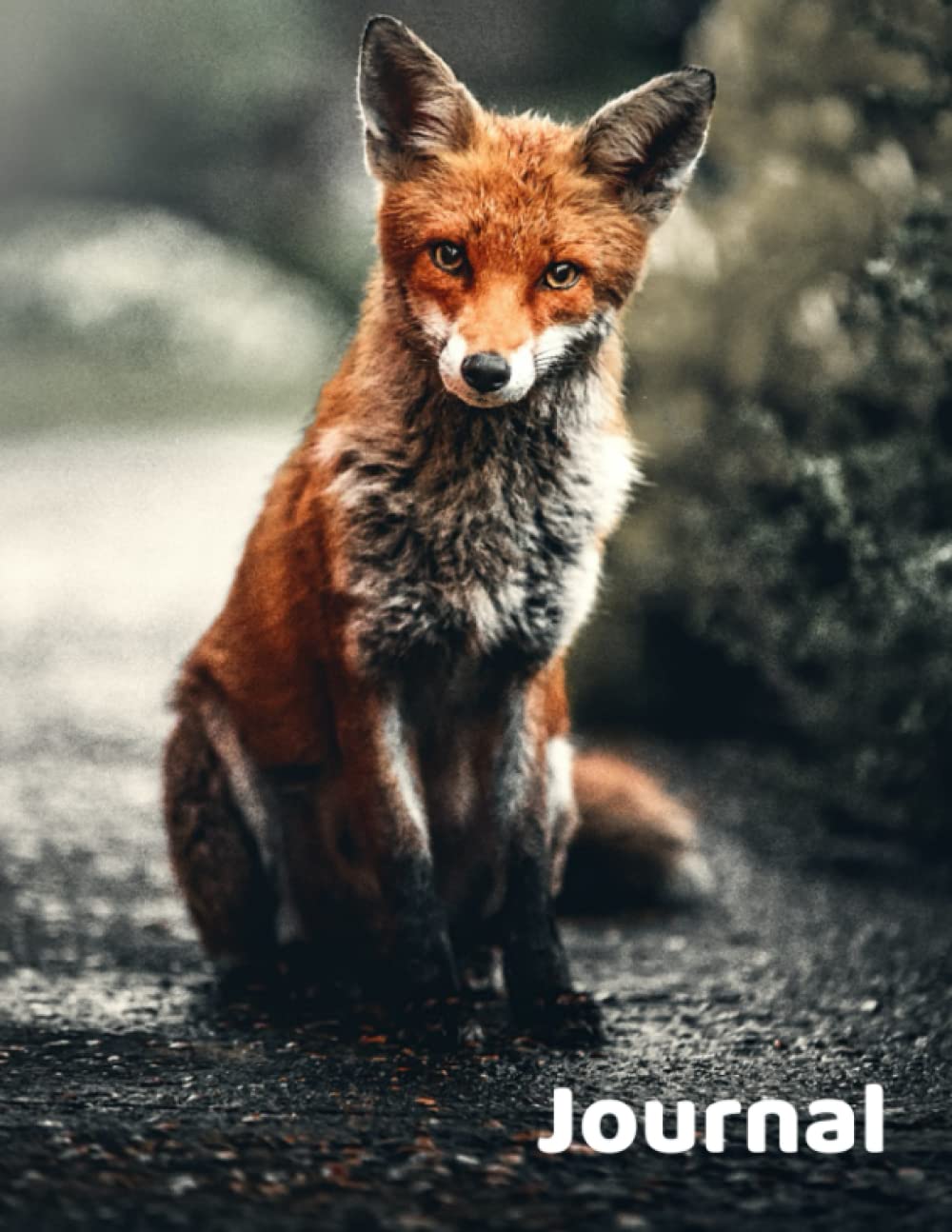 Animal Journal Fox (Animal Cover Books)