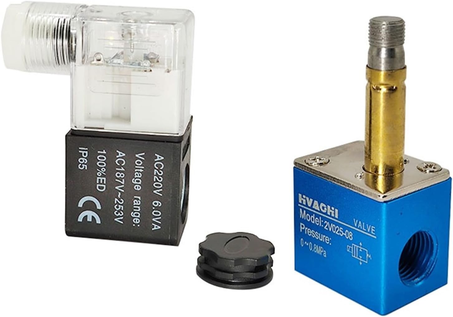 美品 ジェームス・コールマン「Hidden Dream」ジークレー 直筆サイン入