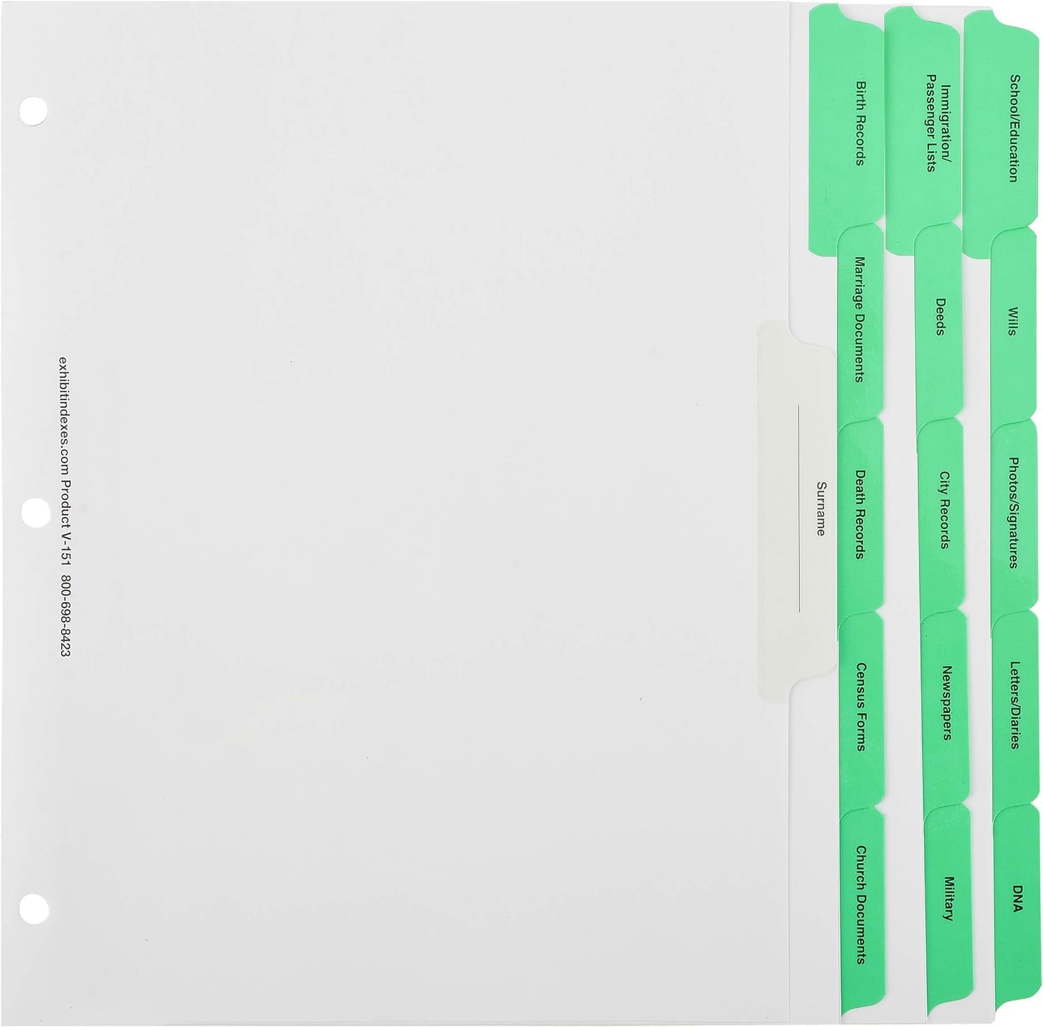 Amazon.com : Exhibitindexes® Genealogy Binder Dividers : Office Products