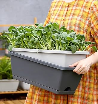 趣味の園芸、プランター、鉢、苗鉢、まとめてセット 趣味の園芸、プランター、鉢、苗鉢、まとめてセット