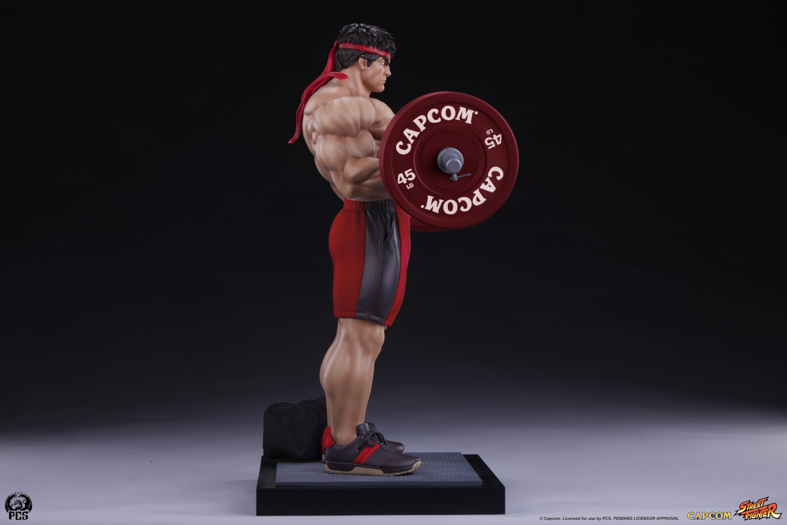 Amazon.co.jp: PCS Collectibles ストリートファイター:リュウパワー