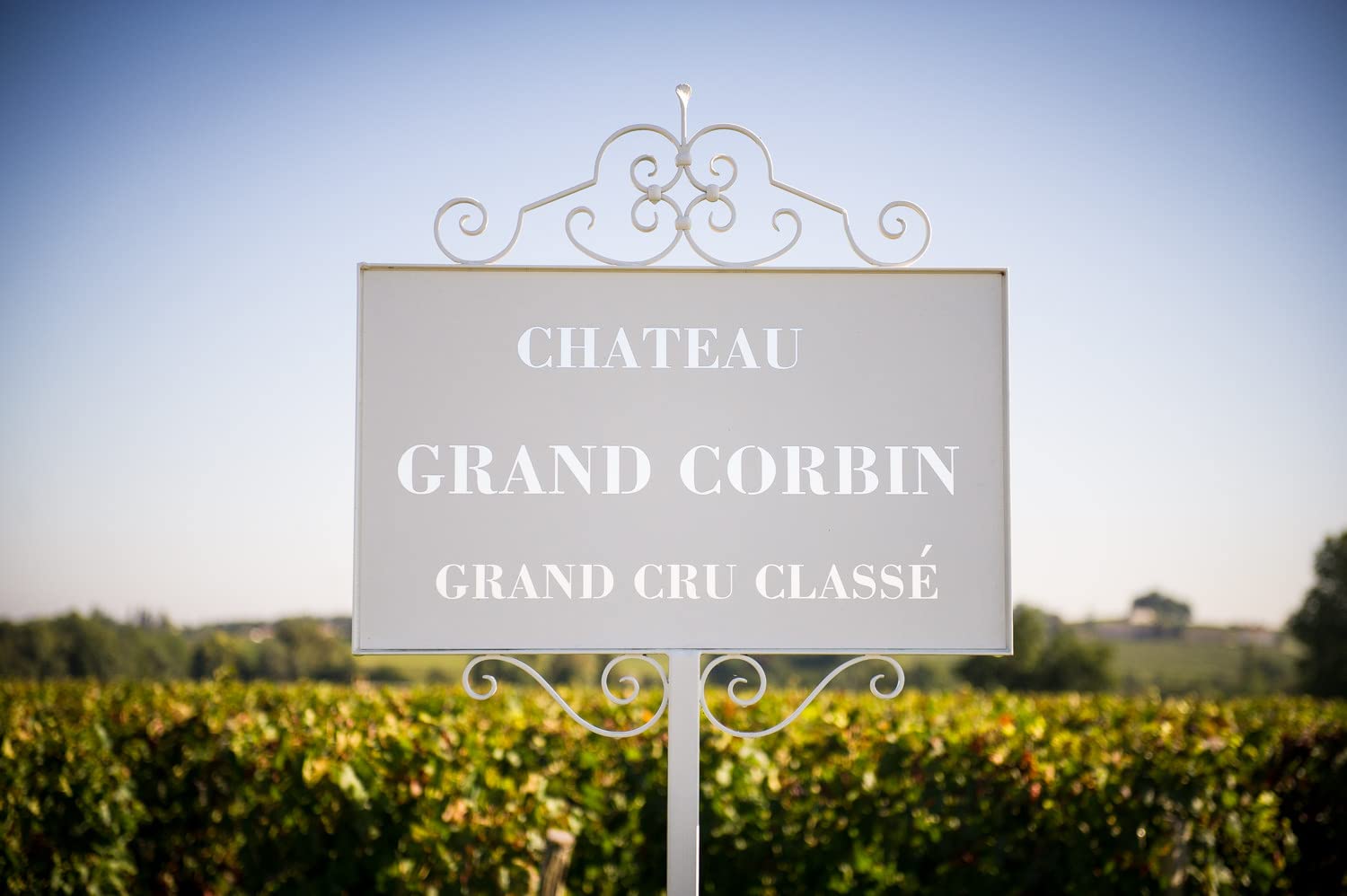 Château Grand Corbin - Vin Rouge - AOP Saint-Emilion Grand Cru - Millésime 2019 - 1 bouteille x 75cl