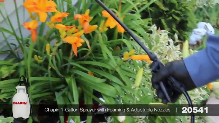 Amazon.com : Chapin 20541 Pump Sprayer, 1‑Gallon, Foaming, Lawn