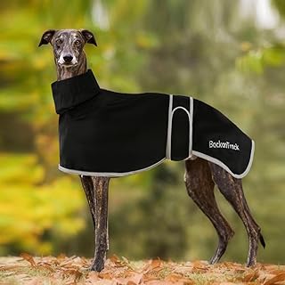 Greyhound and Whippet Waterproof Raincoat - Lightweight Summer Winter Coat for Lurcher, Medium and Large Dogs (XL, Black)