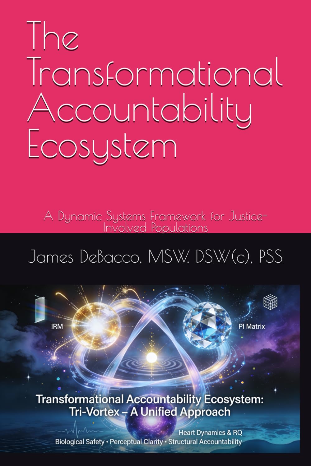 The Transformational Accountability Ecosystem: A Dynamic Systems Framework for Justice-Involved Populations