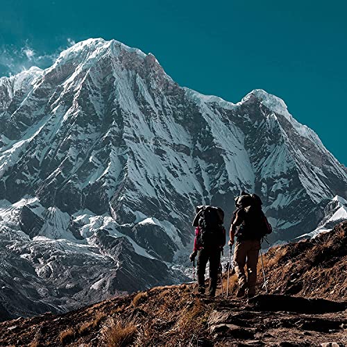 Amavara Transparent Mineral Sunscreen Spf 30, Non Nano Zinc Oxide Reef Safe Sunblock For Sensitive Skin, Biodegradable Broad Spectrum Body & Face Waterproof Suntan Lotion, 1.65 Oz (2 Pack) #TOP7