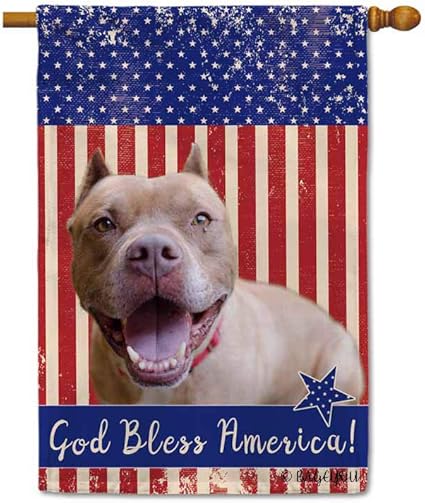 pitbull patriotic