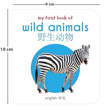 Amazon.com: My First English-Chinese Learning Library