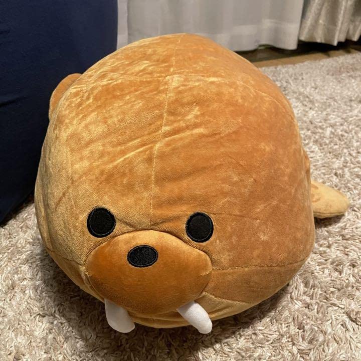 Amazon.co.jp: くったりサメさんと なかまたち2 BIG セイウチ ラウンド