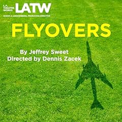 Flyovers Audiolibro Por Jeffrey Sweet arte de portada