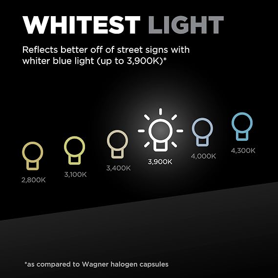 Wagner TruView PLUS BP9006TVX Multi-Purpose Light Bulb Card of 1