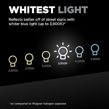 Wagner TruView PLUS BP9006TVX Multi-Purpose Light Bulb Card of 1
